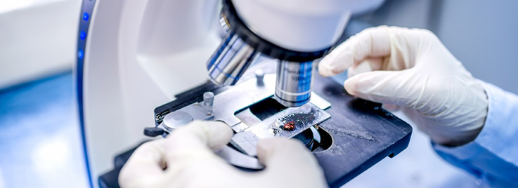 Nous nous mobilisons pour vous : le squenage NGS du SARS-CoV-2 