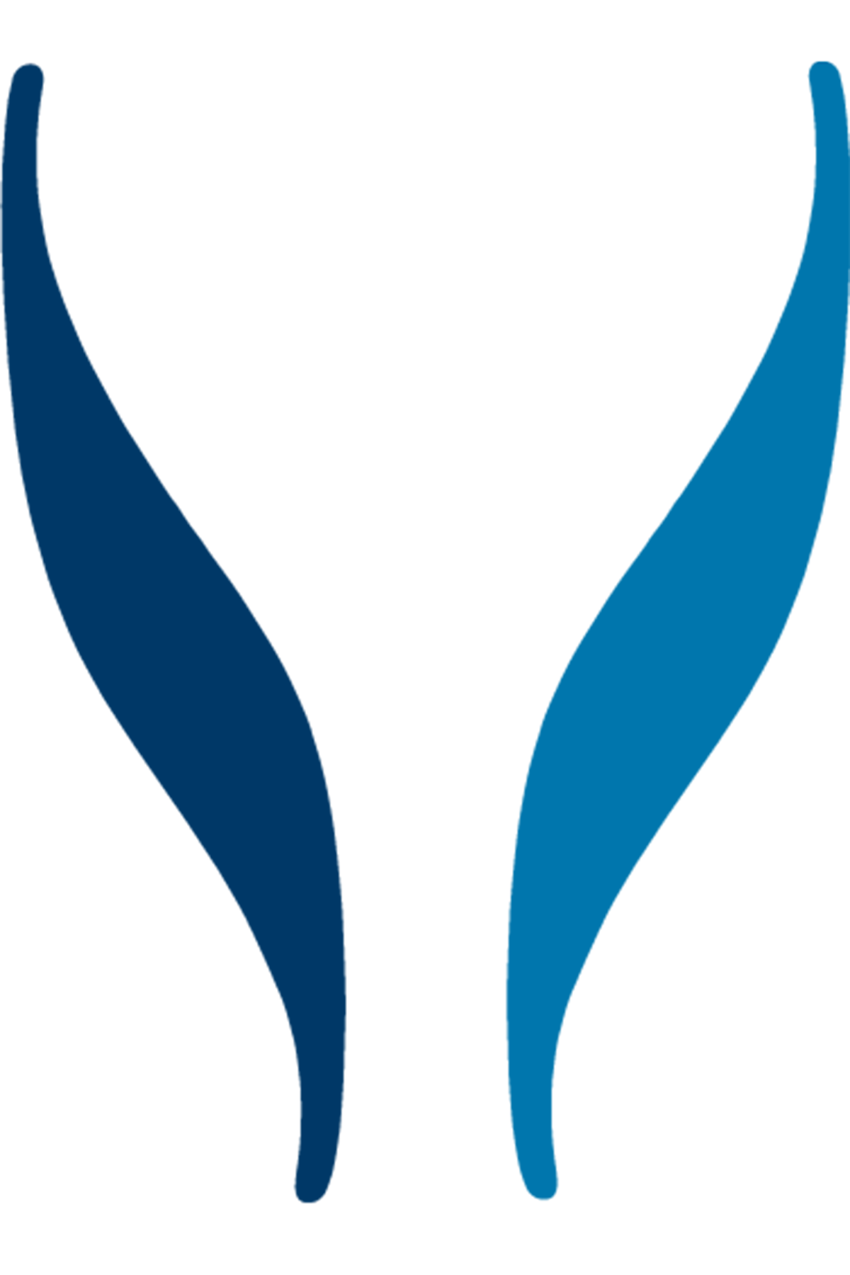 Alpig?ne Logo